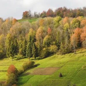 Beautiful country autumnal landscape in Carpathian mountains