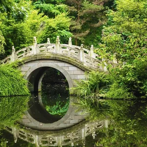 Beautiful Japanese garden Beautiful Japanese garden
