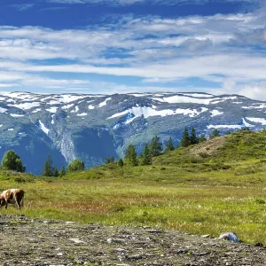 Beautiful landscape in Norway with Summer weather and sunshine