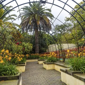 Beautiful path in a botanical garden Beautiful path in a botanical garden