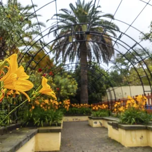 Beautiful path in a botanical garden Beautiful path in a botanical garden