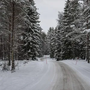 Beautiful snow-covered winter landscape Beautiful snow-covered winter landscape