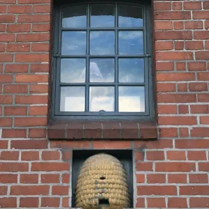 Beehive under an industrial window