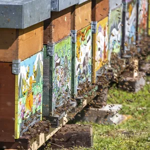 Beehive in a meadow, Italy
