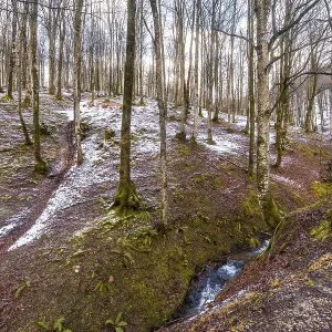 You begin to see the snow on the ascent to Mount Aizkorri in Gipuzkoa You begin to see the snow on the ascent to Mount Aizkorri in Gipuzkoa