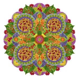 Best in the world floral Mandala from vivid plants and flowers Best in the world floral Mandala from vivid plants and flowers