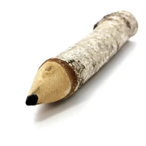 Big styled as birch wood pencil isolated on white