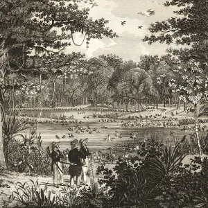 Bird pond on Rio Sao Fransico