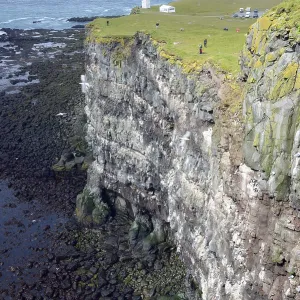 Bird Rock, Latrabjarg, Westfjords, Iceland