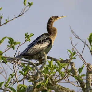 Bird sitting on a branch with green leaves under a blue sky