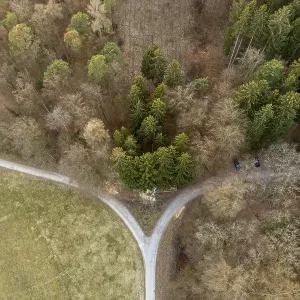 Bird's-eye view of a crossroads surrounded by thick trees and forest Bird's-eye view of a crossroads surrounded by thick trees and forest