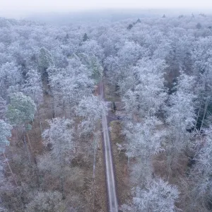 Bird's eye view of a snowy winter forest with a narrow path