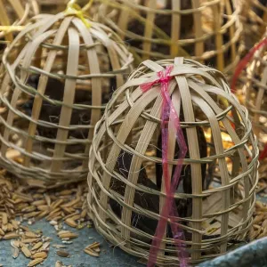 Birds in wooden cages to be released for Laotian and buddhist tradition