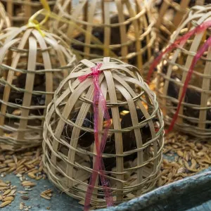 Birds in wooden cages to be released for Laotian and buddhist tradition