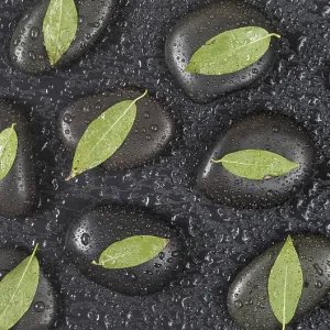 Several black basalt massage stones with green leaves on them Several black basalt massage stones with green leaves on them