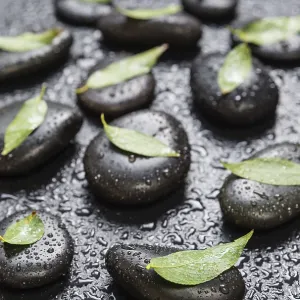 Several black basalt massage stones with green leaves on them Several black basalt massage stones with green leaves on them