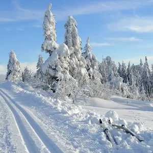 Black Forest, Black Forest in winter Black Forest, Black Forest in winter