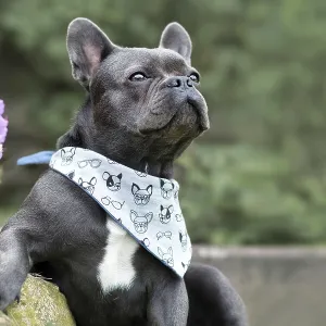 Black French Bulldog Print