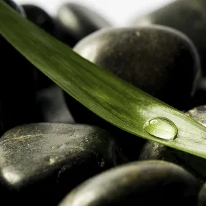 Black spa stones with a green leaf with drops