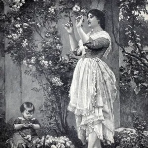 Blooming Climbing Rose Print, 1896
