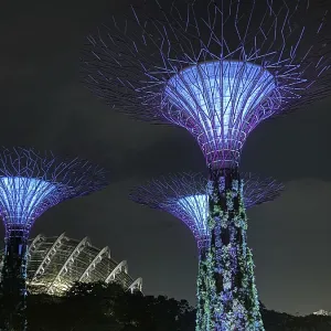 Blue-lit supertrees and architecture at night