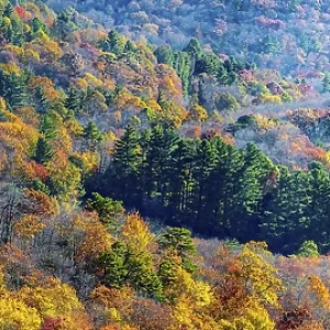 Blue Ridge Mountains in autumn in North Carolina Blue Ridge Mountains in autumn in North Carolina
