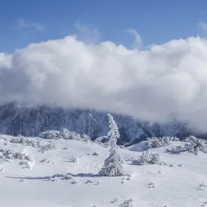 Blue sky over winter landscape
