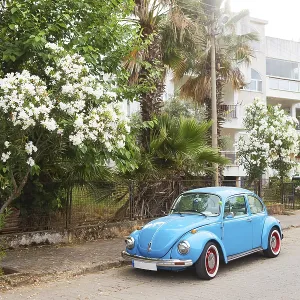 Blue Volkswagen beetle parked in a beautiful area Blue Volkswagen beetle parked in a beautiful area