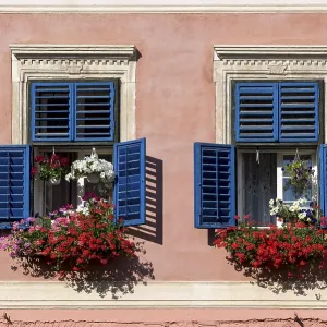 Blue windows with flowerpots of a house on Piata Mica Blue windows with flowerpots of a house on Piata Mica