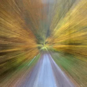 Blurred autumn forest Germany Blurred autumn forest Germany