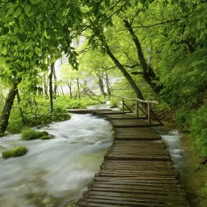 Boardwalk across river, Plitvice Lakes National Park