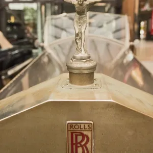 Bonnet ornament, radiator mascot