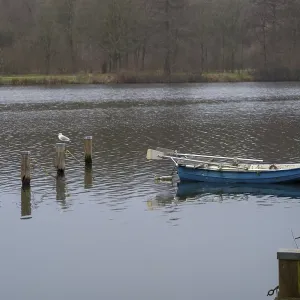 Borken, NRW, Germany, Blue rowboat tied to a jetty with a seagull on a mooring post at probstinger lake<br> Borken Borken, NRW, Germany, Blue rowboat tied to a jetty with a seagull on a mooring post at probstinger lake<br> Borken