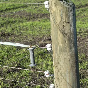 Borken, NRW, Germany, Electric fence establishing boundaries Borken, NRW, Germany, Electric fence establishing boundaries