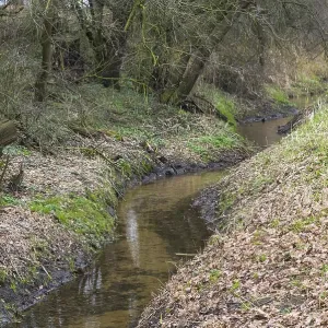 Borken, NRW, Germany, Small stream winding through wooded area with bare trees and fallen leaves