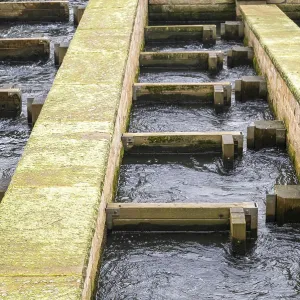 Borken, NRW, Germany, Water flowing through a man-made fish ladder