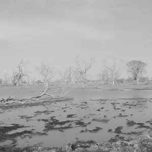 Botswana: The Okavango Delta flooded Botswana: The Okavango Delta flooded