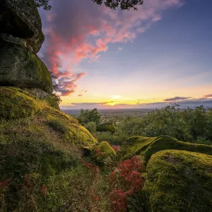 Boulders covered with moss on a green forest tree nature landscape at sunset Boulders covered with moss on a green forest tree nature landscape at sunset