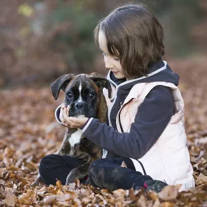 Boxer puppy sitting with little girl in autumn leaves Boxer puppy sitting with little girl in autumn leaves