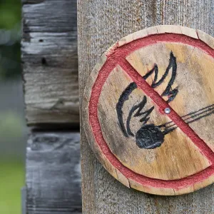 Brennendes Streichholz, kleine runde Holztafel mit aufgemaltem Verbotssymbol gegen das Entfachen von Feuer
