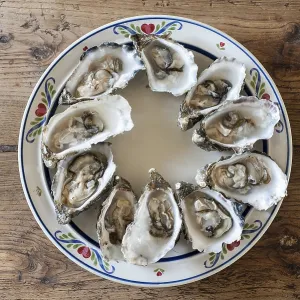 Breton oysters opened on a plate, Brittany, France