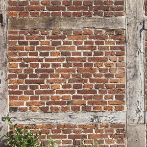 Half-timbered House Print, Harburg Historic Centre
