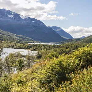 A bright sunny day in the mountains of Norway