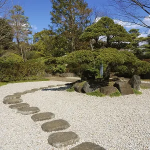 Bright sunny day in zen garden, Tokyo Japan