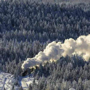 Brockenbahn travels through snowy Spruces (Picea) to the Brocken Brockenbahn travels through snowy Spruces (Picea) to the Brocken