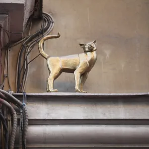 Bronze figure a cat on the ledge of the house Bronze figure a cat on the ledge of the house