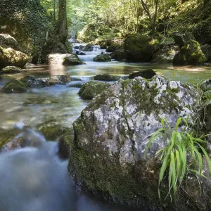 Brook of Myra Falls, Muggendorf Brook of Myra Falls, Muggendorf