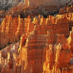 Bryce Amphitheatre at sunrise, Bryce Canyon National Park