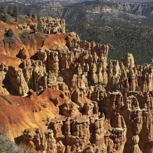 Bryce Canyon National Park Red Rock Landscape Print