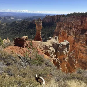 Bryce Canyon National Park Red Rock Print